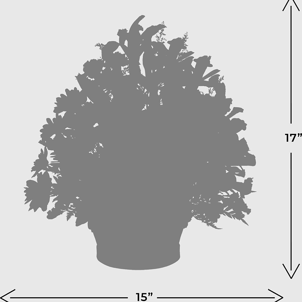 The Wondrous Nature Bouquet – The Rose Boutique, San Antonio TX