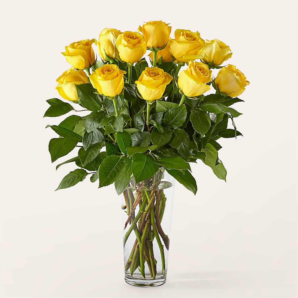 Long Stem Yellow Rose Bouquet – The Rose Boutique, San Antonio TX