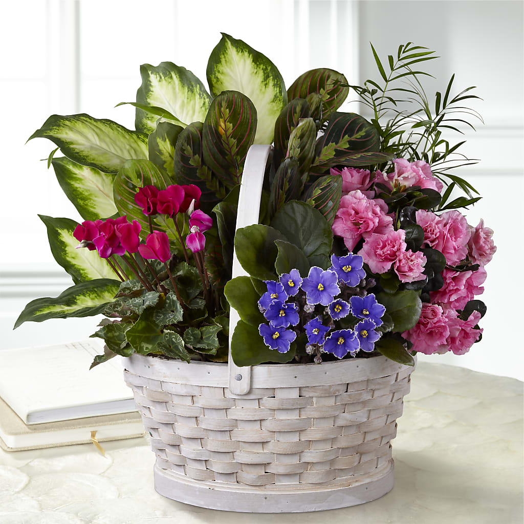 Peaceful Garden Planter – The Rose Boutique, San Antonio TX
