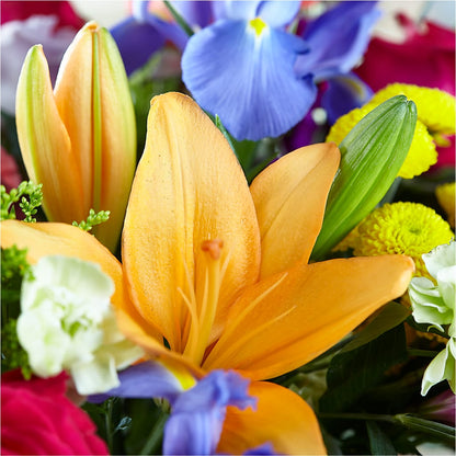 Bold & Bright – A Florist Original –  The Rose Boutique, San Antonio TX