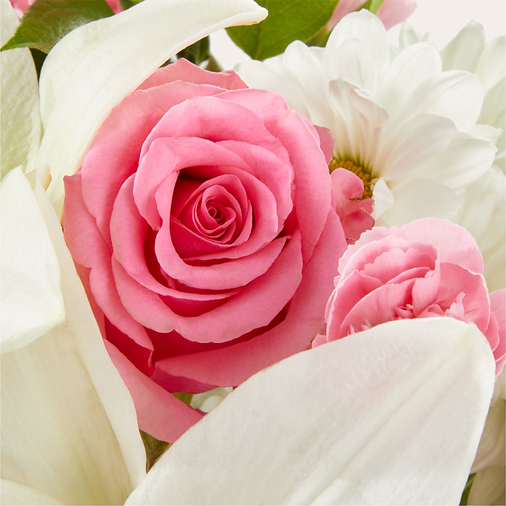 Whispers of Comfort Bouquet –  The Rose Boutique, San Antonio TX