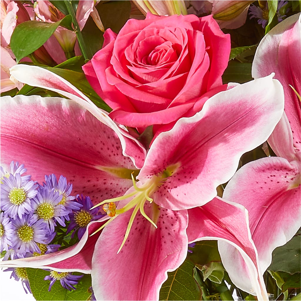 Written in the Stars Bouquet –  The Rose Boutique, San Antonio TX