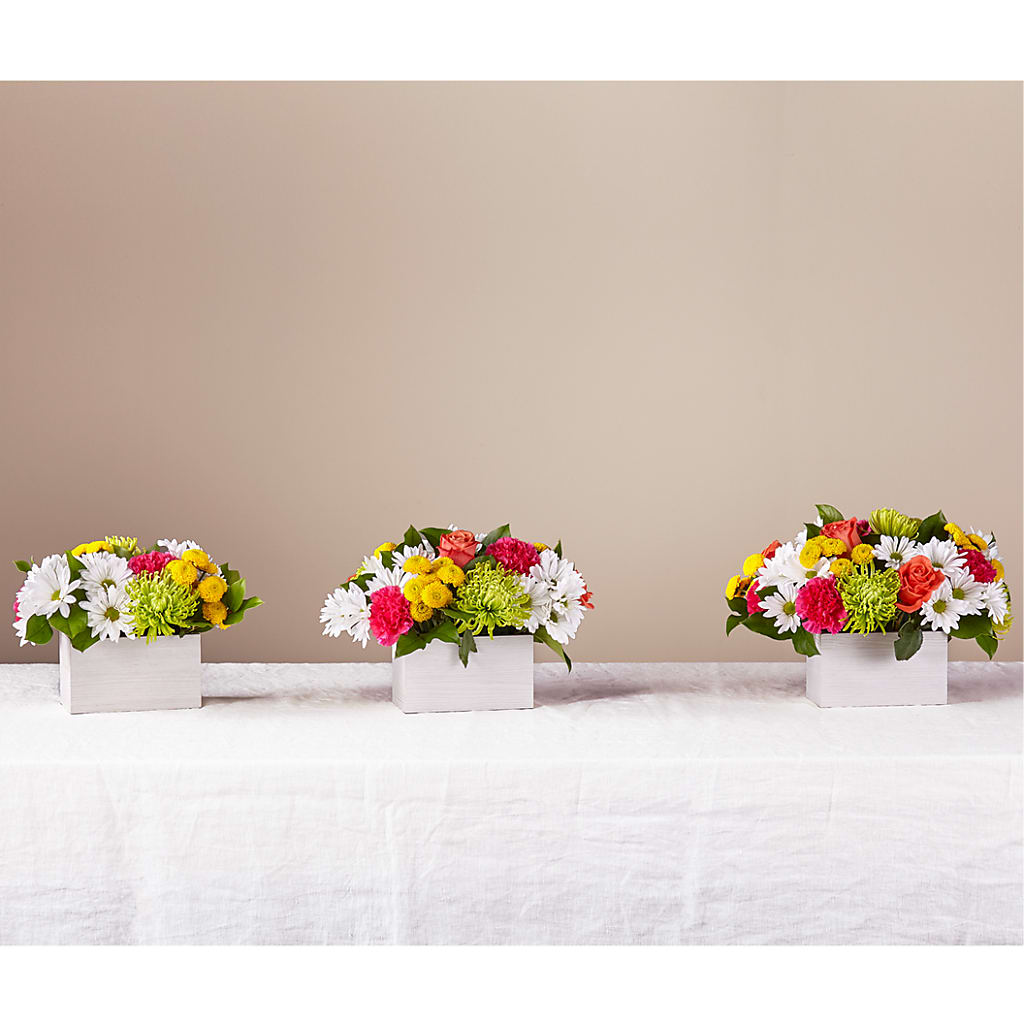 Sorbet Bouquet –  The Rose Boutique, San Antonio TX