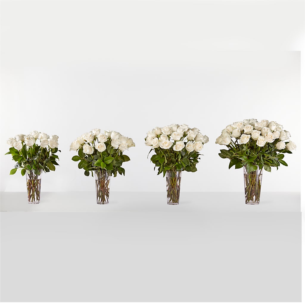 Long Stem White Rose Bouquet –  The Rose Boutique, San Antonio TX