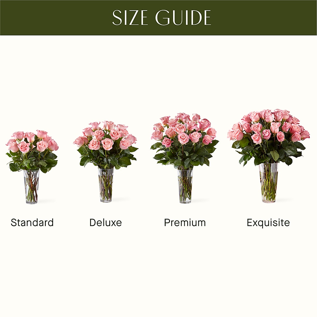 Long Stem Pink Rose Bouquet –  The Rose Boutique, San Antonio TX