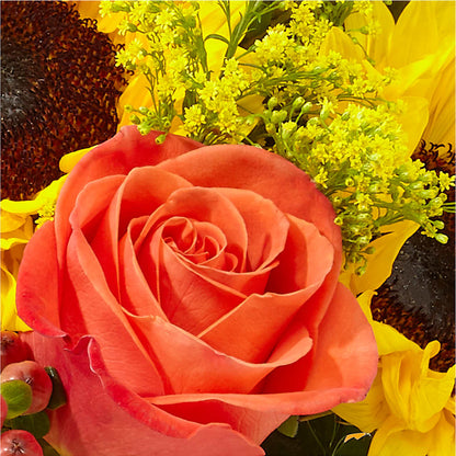 Pick of the Patch Pumpkin Bouquet –  The Rose Boutique, San Antonio TX