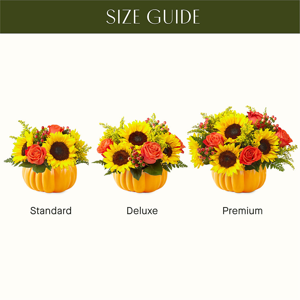 Pick of the Patch Pumpkin Bouquet –  The Rose Boutique, San Antonio TX