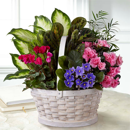 Peaceful Garden Planter –  The Rose Boutique, San Antonio TX