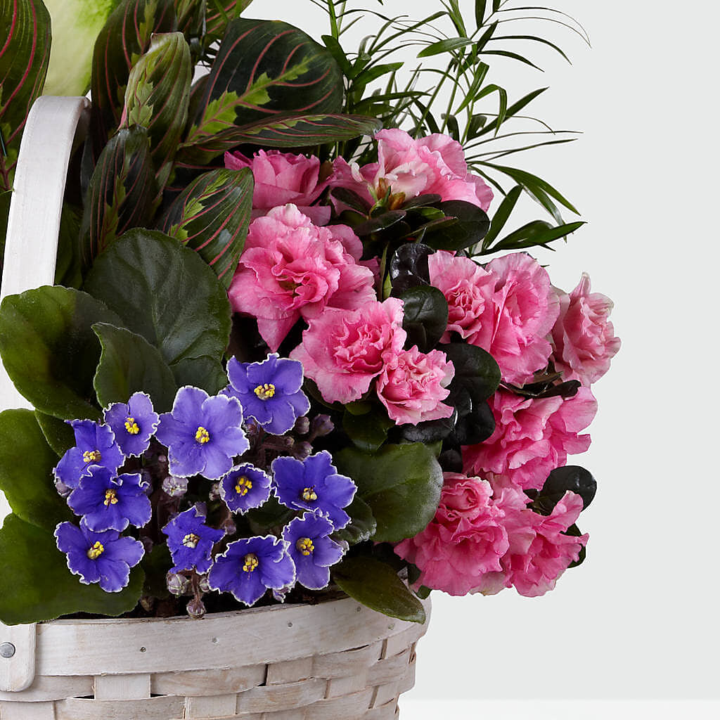 Peaceful Garden Planter –  The Rose Boutique, San Antonio TX