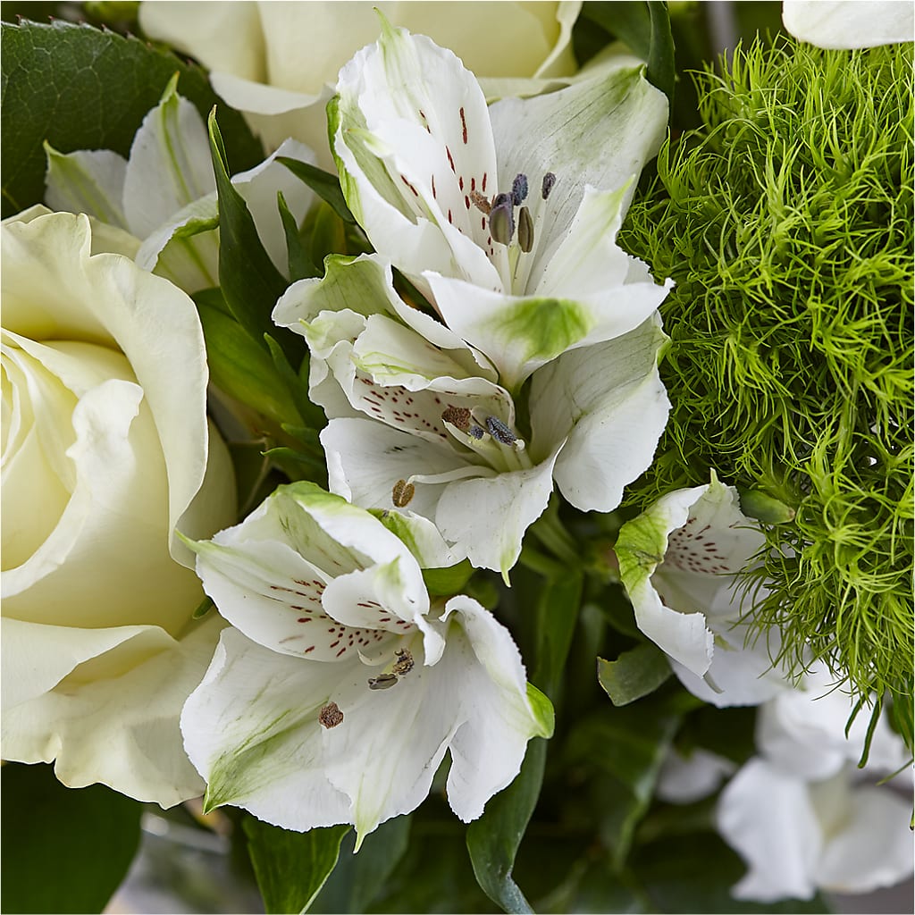 Classic Ivory – A Florist Original –  The Rose Boutique, San Antonio TX