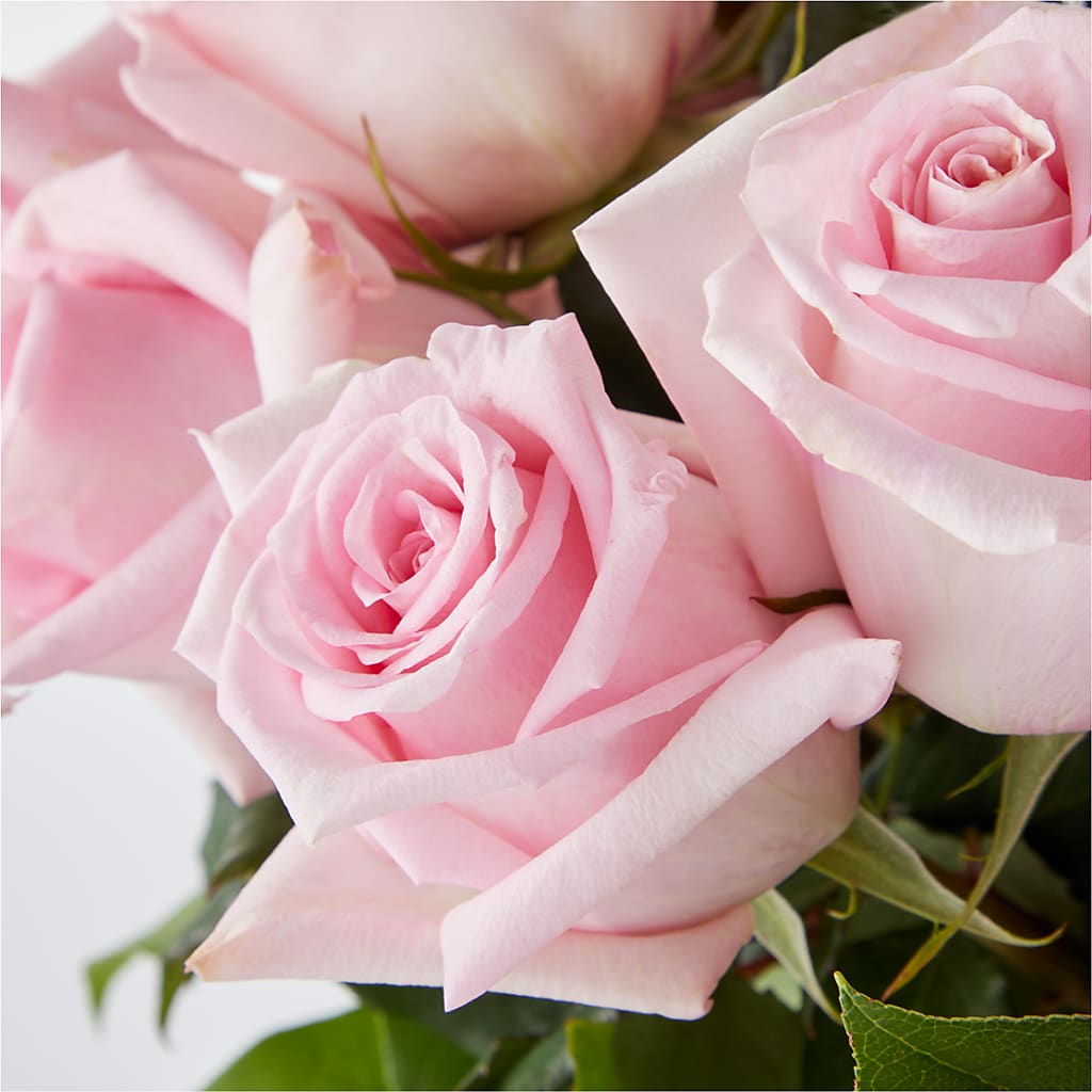 Picture Perfect Pink Rose Bouquet –  The Rose Boutique, San Antonio TX