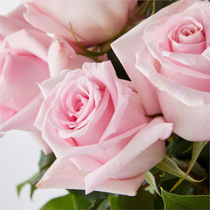 Picture Perfect Pink Rose Bouquet –  The Rose Boutique, San Antonio TX